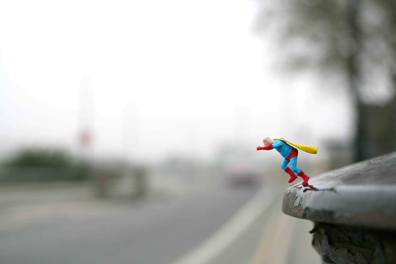 Superman: Whatever Happened to the Man of Tomorrow
