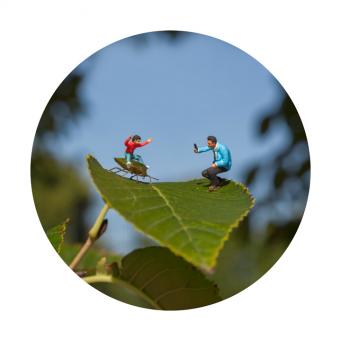 Slinkachu:Back to Nature