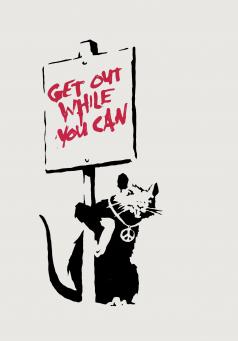 banksy while andipa artwork rat