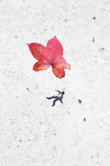 Slinkachu:Fall