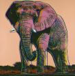 Andy Warhol:Endangered Species:  African Elephant, F & S II.293