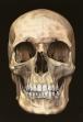 Damien Hirst:The Skull Beneath the Skin 