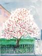 David Hockney:Magnolia Edwards Square