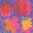 Andy Warhol:Flowers, F & S II.66