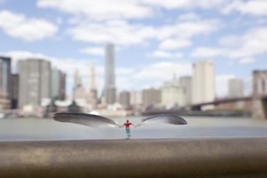 SLINKACHU: Global Modern Village, New York