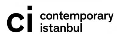 CONTEMPORARY ISTANBUL 2012, Istanbul